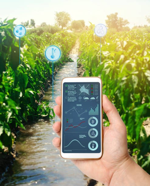  AgriSem: Semantic Web Technologies for Agricultural Data Interoperability