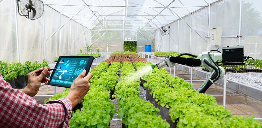  Smart Agricultural Clinic: Egyptian Farmer Electronic Platform for the Future